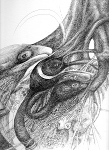 whale, pen & ink Seana Mcnamara